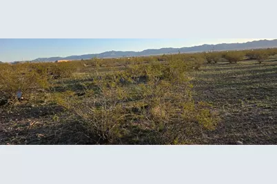 005B Estrella, Golden Valley, AZ 86413 - Photo 19