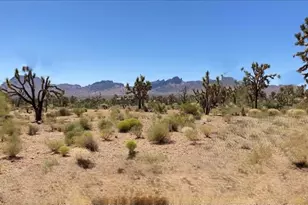 0000 Laurel Dr, Dolan Springs, AZ 86441 - Photo 1