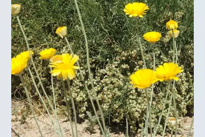 3836 W Third Ave., Yucca, AZ 86438 - Photo 11