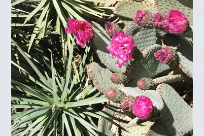 3836 W Third Ave., Yucca, AZ 86438 - Photo 17