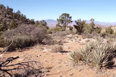 Lot 67 N 1/2 Heinsz Way, Kingman, AZ 86409 - Photo 17