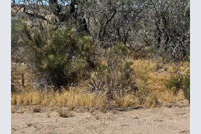 27415 N Pear Avenue, Meadview, AZ 86444 - Photo 3