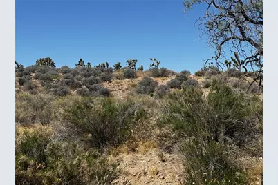 27415 N Pear Avenue, Meadview, AZ 86444 - Photo 1