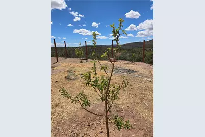 18205 E Globe Willow Drive, Kingman, AZ 86401 - Photo 23