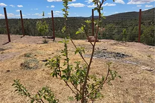 18205 E Globe Willow Dr, Kingman, AZ 86401 - Photo 23