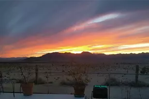 9597 N Tall Tree Dr, Kingman, AZ 86401 - Photo 37