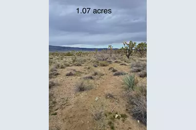 Lot 402 Saddle Drive, Dolan Springs, AZ 86441 - Photo 1