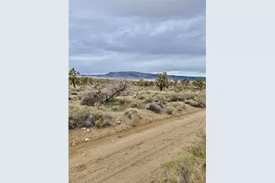 Lot 402 Saddle Drive, Dolan Springs, AZ 86441 - Photo 5