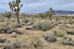 Lot 402 Saddle Dr, Dolan Springs, AZ 86441 - Photo 1