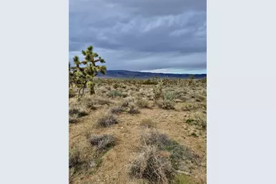 Lot 402 Saddle Drive, Dolan Springs, AZ 86441 - Photo 7