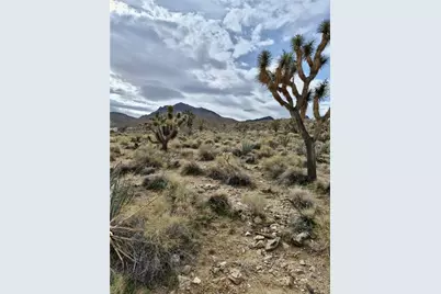 Lot 402 Saddle Drive, Dolan Springs, AZ 86441 - Photo 3