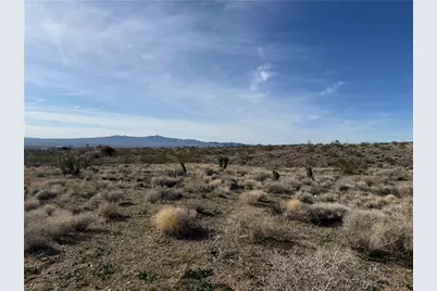 316-03-249 June Road, Dolan Springs, AZ 86441 - Photo 1