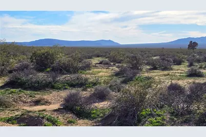 517 S Dale Evans Road, Yucca, AZ 86438 - Photo 17