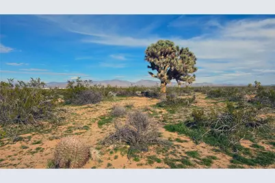 517 S Dale Evans Road, Yucca, AZ 86438 - Photo 1