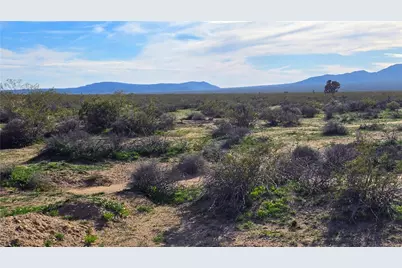 123-11-015 S Dale Evans Road, Yucca, AZ 86438 - Photo 13