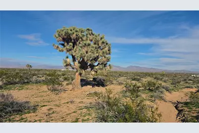 123-11-015 S Dale Evans Road, Yucca, AZ 86438 - Photo 21