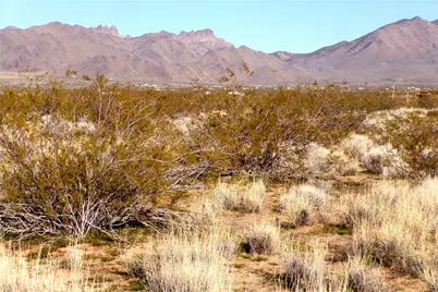 Lot 246 W 5th Street, Dolan Springs, AZ 86441 - Photo 23