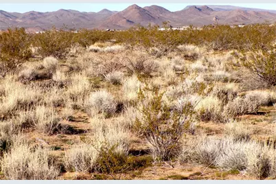 Lot 246 W 5th Street, Dolan Springs, AZ 86441 - Photo 21