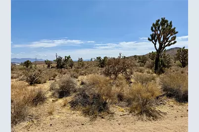 327-07-341 Sequoia Drive, Dolan Springs, AZ 86441 - Photo 3