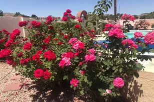 985 Country Club Dr, Kingman, AZ 86401 - Photo 63