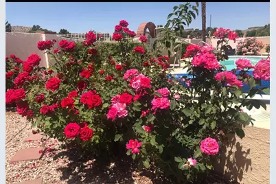 985 Country Club Drive, Kingman, AZ 86401 - Photo 63