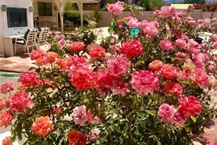 985 Country Club Dr, Kingman, AZ 86401 - Photo 65