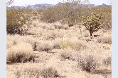 326-06-272 Indian Drive, Dolan Springs, AZ 86441 - Photo 3