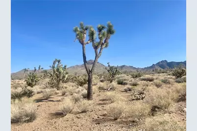 Lots 574,573 19th Street, Dolan Springs, AZ 86441 - Photo 1