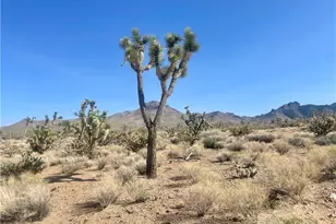 Lots 574 573 19th St, Dolan Springs, AZ 86441 - Photo 1