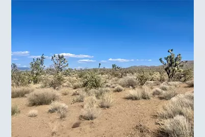 Lots 574,573 19th Street, Dolan Springs, AZ 86441 - Photo 3