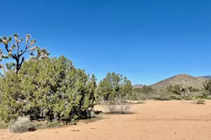 21422 S Appaloosa Rd, Yucca, AZ 86438 - Photo 65