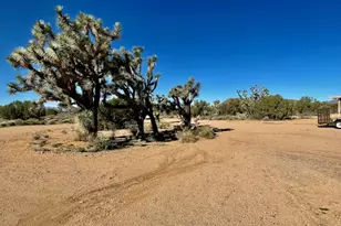 21422 S Appaloosa Rd, Yucca, AZ 86438 - Photo 55