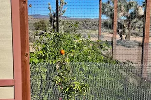 21422 S Appaloosa Rd, Yucca, AZ 86438 - Photo 59