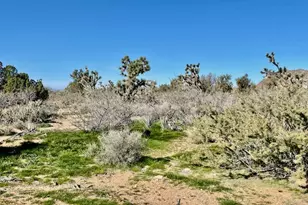 21422 S Appaloosa Rd, Yucca, AZ 86438 - Photo 67