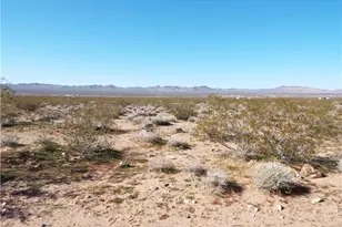 19557 N Wright Rd, White Hills, AZ 86445 - Photo 1