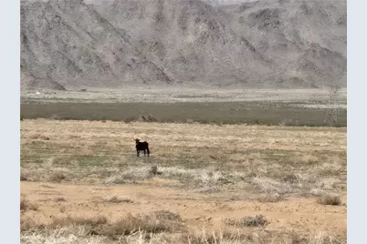 000 Antares Rd Antares, Kingman, AZ 86409 - Photo 9