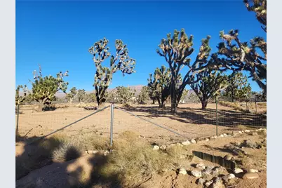 26336 N Pear Avenue, Meadview, AZ 86444 - Photo 3