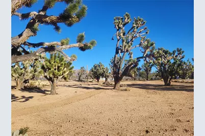 26336 N Pear Avenue, Meadview, AZ 86444 - Photo 5
