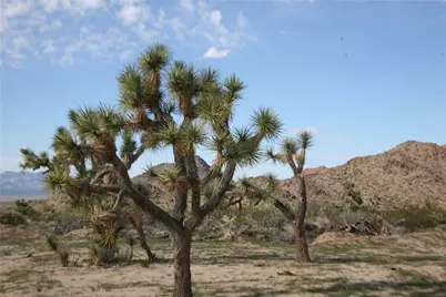 Lot G1 Alvis Road, Yucca, AZ 86438 - Photo 25