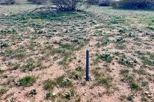 000 W Double B Ranch Dr, Golden Valley, AZ 86413 - Photo 1