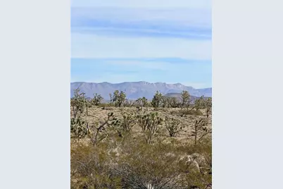 327-05-010 Mesquite Rd, Dolan Springs, AZ 86441 - Photo 7