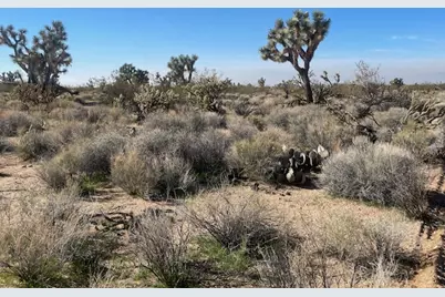 10 S Mary Pl., Yucca, AZ 86438 - Photo 7