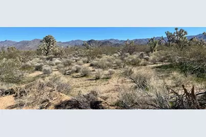 10 S Mary Pl., Yucca, AZ 86438 - Photo 3