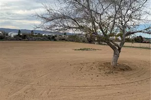 303 S Horn Rd, Golden Valley, AZ 86413 - Photo 17