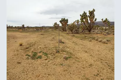 18821 N Red Lake Drive, Dolan Springs, AZ 86441 - Photo 7