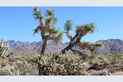 0 Buick Drive, Yucca, AZ 86438 - Photo 11