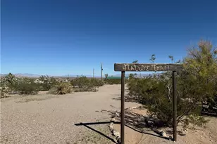 30165 N Surf Spray Dr, Meadview, AZ 86444 - Photo 67