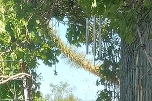 30095 N Sandy Point Dr, Meadview, AZ 86444 - Photo 29