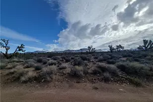 27165 N Sandy Point Dr, Meadview, AZ 86444 - Photo 57