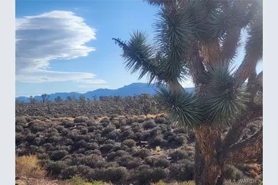 27165 N Sandy Point Drive, Meadview, AZ 86444 - Photo 59